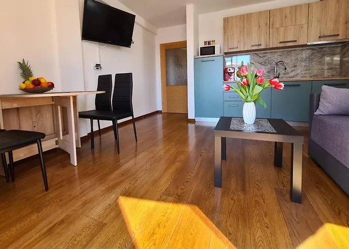Downtown Apartment Ela